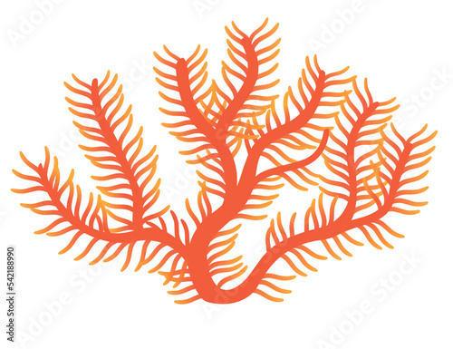 Red coral tropical underwater sea life vector illustration isolated on white background