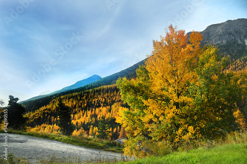 European fall foliage alpine picturesque scenery