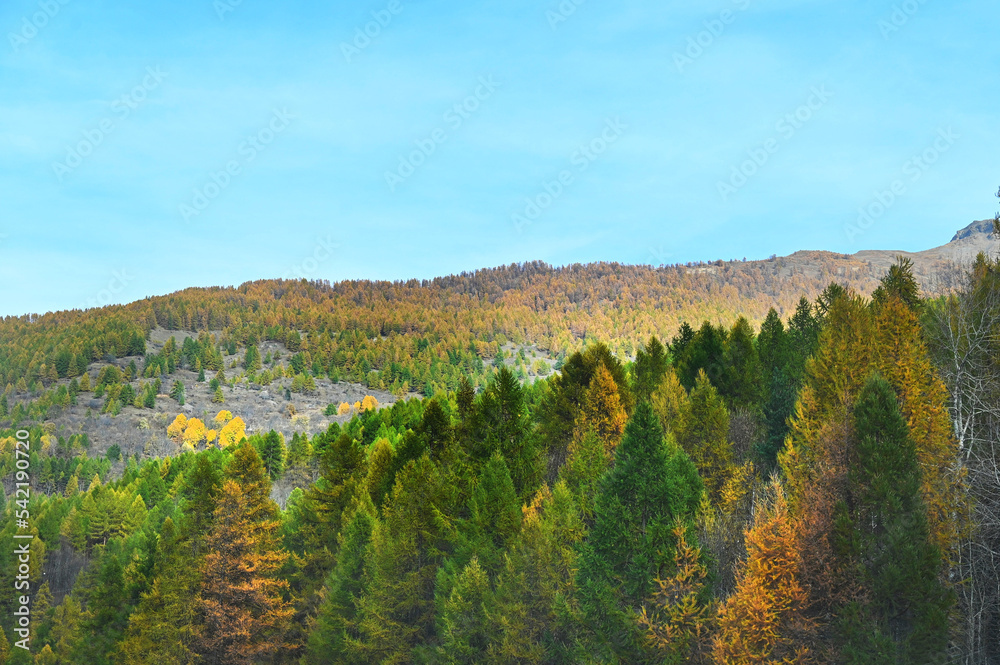 European fall foliage alpine picturesque scenery