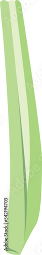 Lemon Grass isolated Illustration Hand Drawn