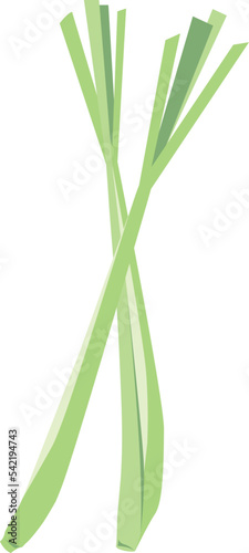Lemon Grass isolated Illustration Hand Drawn