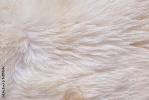 Textura piel natural, color blanco, alfombra de piel suave, fondo digital