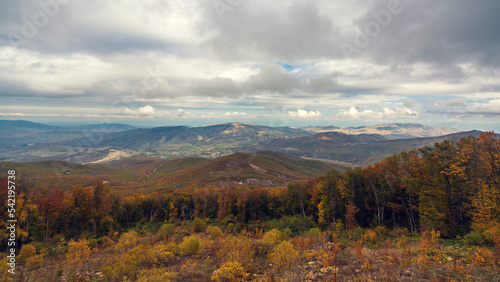 Yellow autumn forest on a mountain slope © Vastram