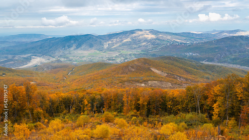 Yellow autumn forest on a mountain slope