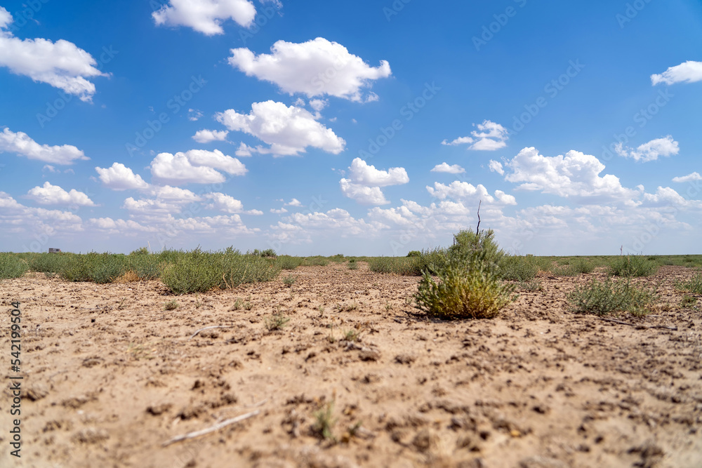 Blue sky over vast steppe desert flat with low sagebrush (Artemisia arbuscula) grass