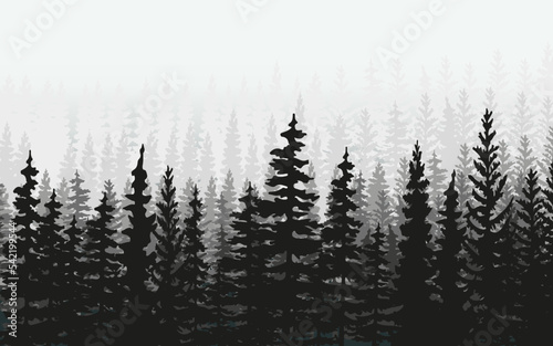 Spruce treeline silhouette landscape. Pine tree silhouette landscape