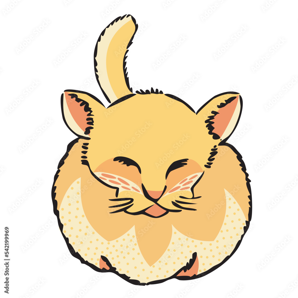 curled up fluffy cat hand drawn vector curled up fluffy cat hand drawn vector