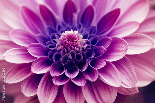Close up of purple dahlia flower AI © Anntuan