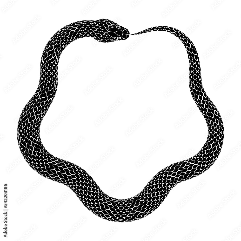 My Image 22