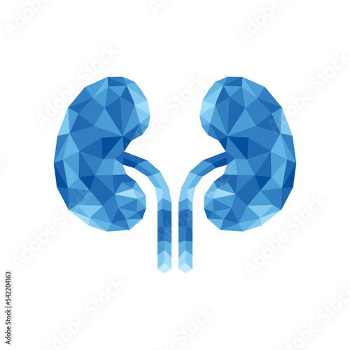 Geometric polygonal kidneys logo icon vector illustration