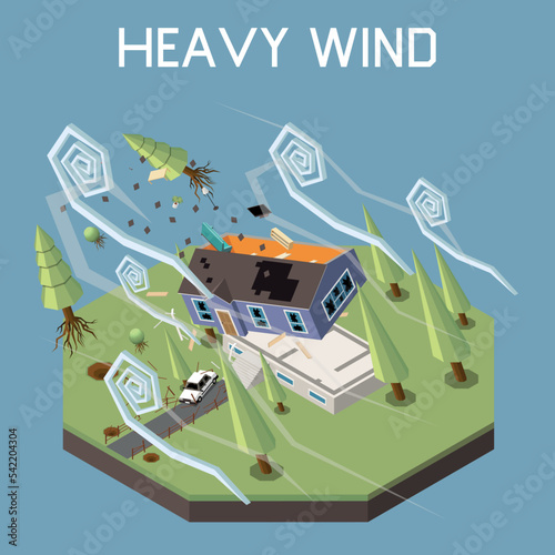 Natural Disaster Isometric