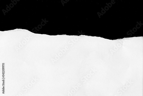 white paper tear on black background © lim_pix