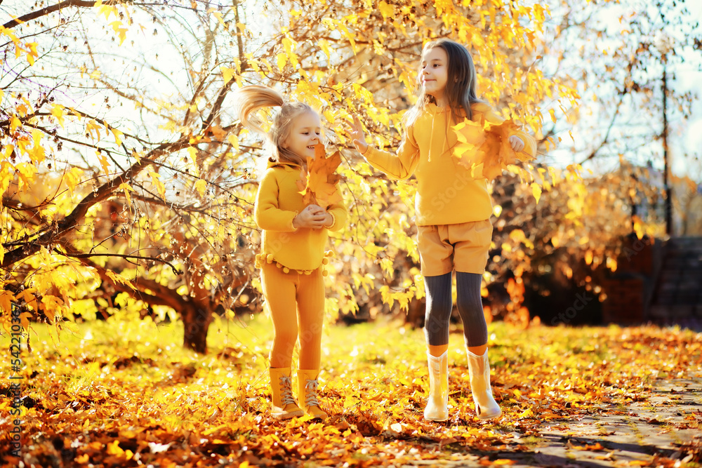 Fototapeta premium Happy joyful little kid walking in beautiful autumn forest, child playing and having fun during walk in nature. Family outdoors