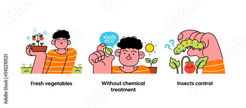Eco friendly lifestyle and protecting the environment - set of business concept illustrations. Fresh vegetables, No chemicals, Insects control. Visual stories collection