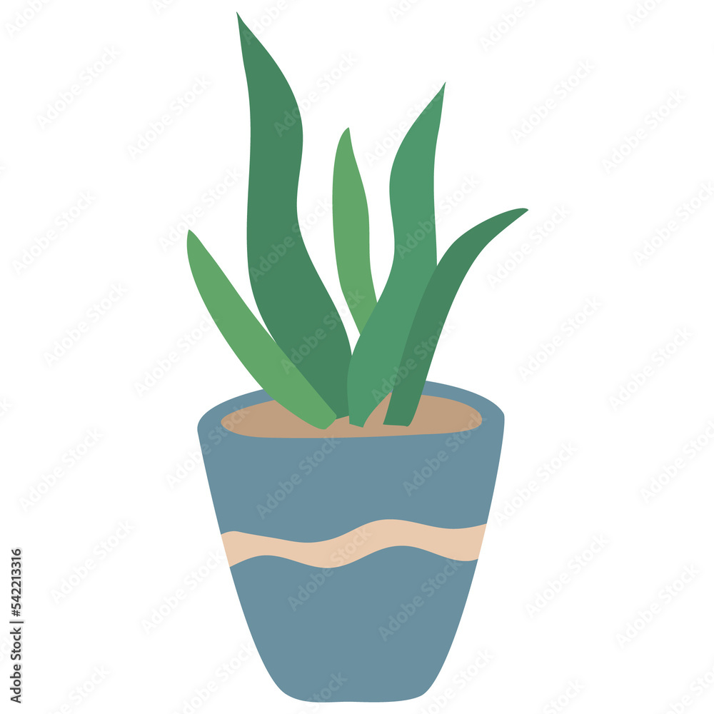 Green house plants with potted Green house plants with potted