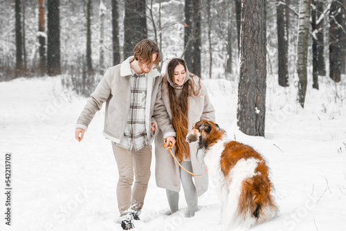 Fototapeta Naklejka Na Ścianę i Meble -  Love romantic young couple girl, guy in snowy cold winter forest walking with pet, dog of hunting breed russian borzoi. Sighthound, wolfhound owner. Having fun, laughing. Stylish fur coat, woolen hat