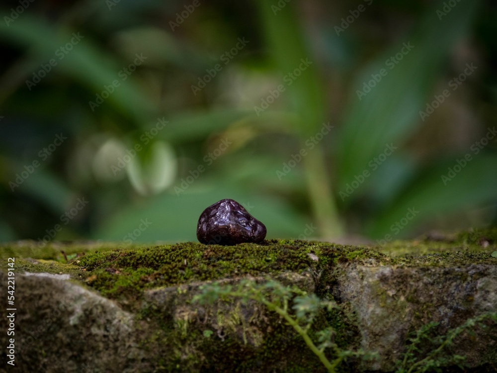 Closeup shot of a purple granade quartz crystal on a mossy rock surface Closeup shot of a purple granade quartz crystal on a mossy rock surface