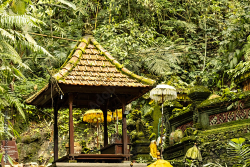 Sebatu holy waters spiritual place in Bali, Indonesia © Natalia