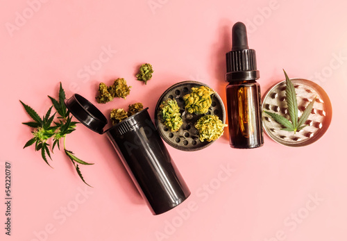 Medical cannabis or Drug, Marijuana flower buds Cannabis CBD oil and grinder on pink background