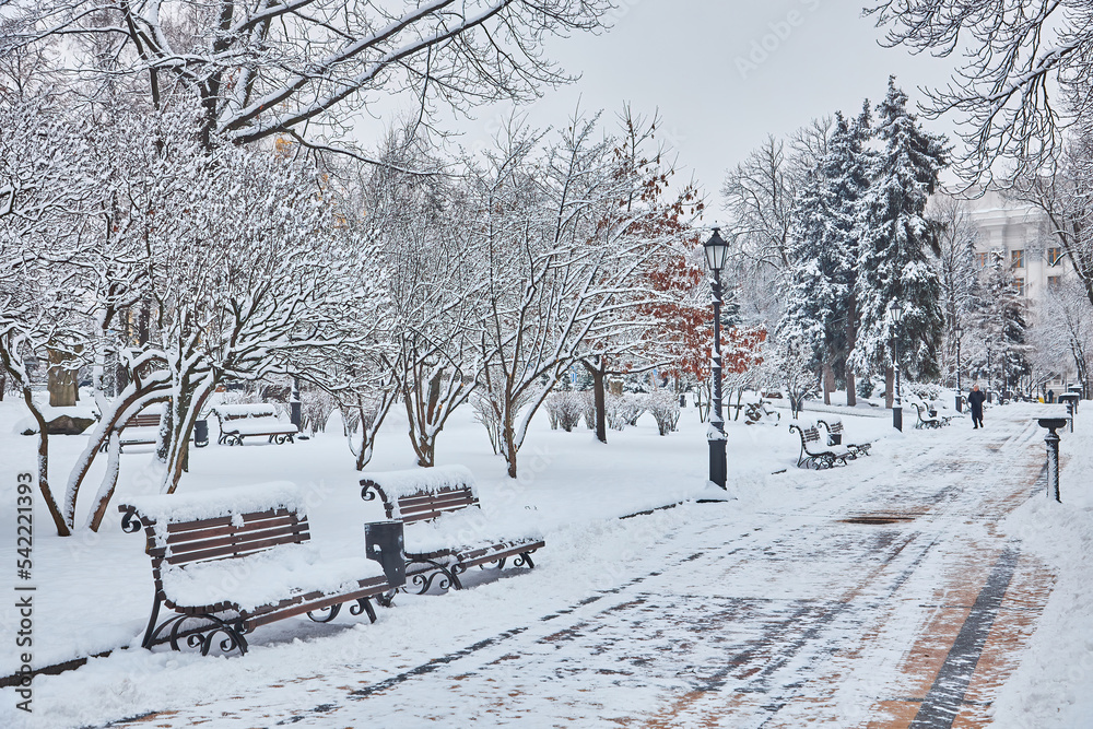 Snow-covered trees and benches in the city park.