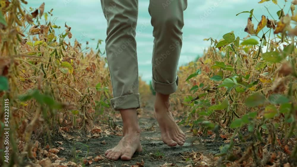 Feet Walk On Field. Bare Feet Soiled With Ground. Naked Legs Walking On Soil. Agriculture Farmer Feet Walks. Man Barefoot Walking On Ground. Recreation And Relaxation Step. Naked Legs Walking On Soil Feet Walk On Field. Bare Feet Soiled With Ground. Naked Legs Walking On Soil. Agriculture Farmer Feet Walks. Man Barefoot Walking On Ground. Recreation And Relaxation Step. Naked Legs Walking On Soil