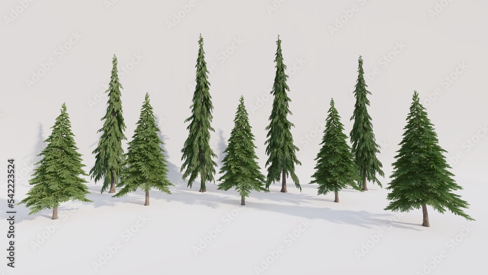 Obraz premium A group of pine trees on isolated background. 3d render
