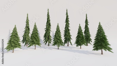 A group of pine trees on isolated background. 3d render