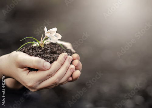 Text Save our planet. Earth day. child hands hold white flower growing from ground. Ecology concept.