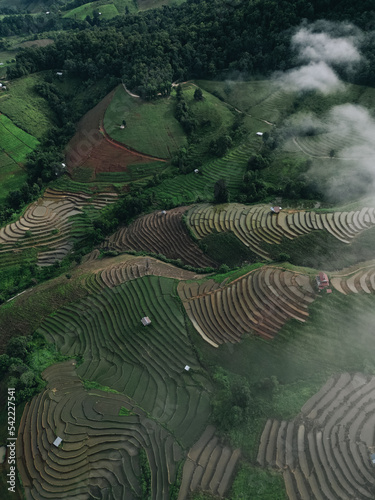 rice terraces and fog