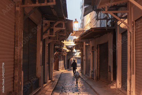 Views of the Medina of Tunis - Tunisia © skazar