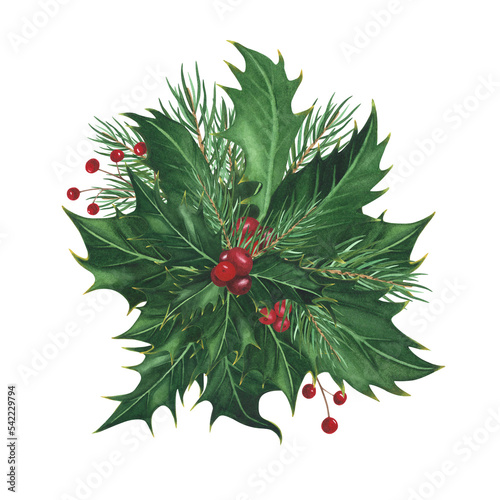 Christmas holly leaves ed berries, spruce isolated on white. Watercolor hand drawn Xmas illustration. Art for design