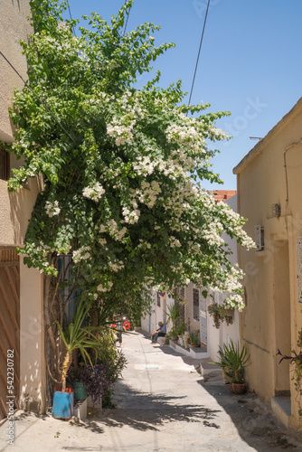 Fototapeta Naklejka Na Ścianę i Meble -  Views of Testour - North Tunisia