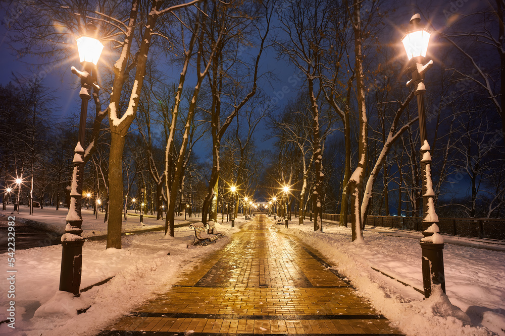 Winter scene with a bench in the park in the night covered in snow
