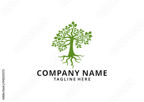 Illustration Tree Logo Template Vector Icon Design photo