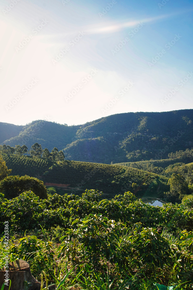 Obraz premium Landscape with trees and clouds - Serra Negra, São Paulo, Brazil.