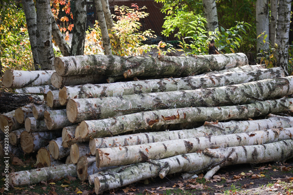 opał, drewno, combustible, combustible, fuel, combustible, топливо, leña, wood, stick, bois, brzoza, abedul, birch, Берёза, Betula
opał, drewno, combustible, combustible, fuel, combustible, топливо, leña, wood, stick, bois, brzoza, abedul, birch, Берёза, Betula