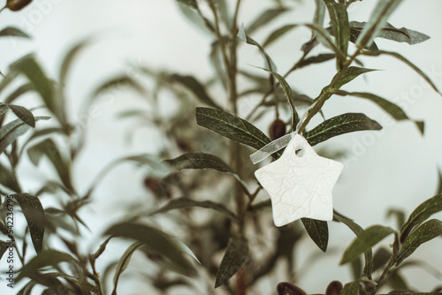 Close-up of a ceramic star  ornament hanging on an olive tree photo