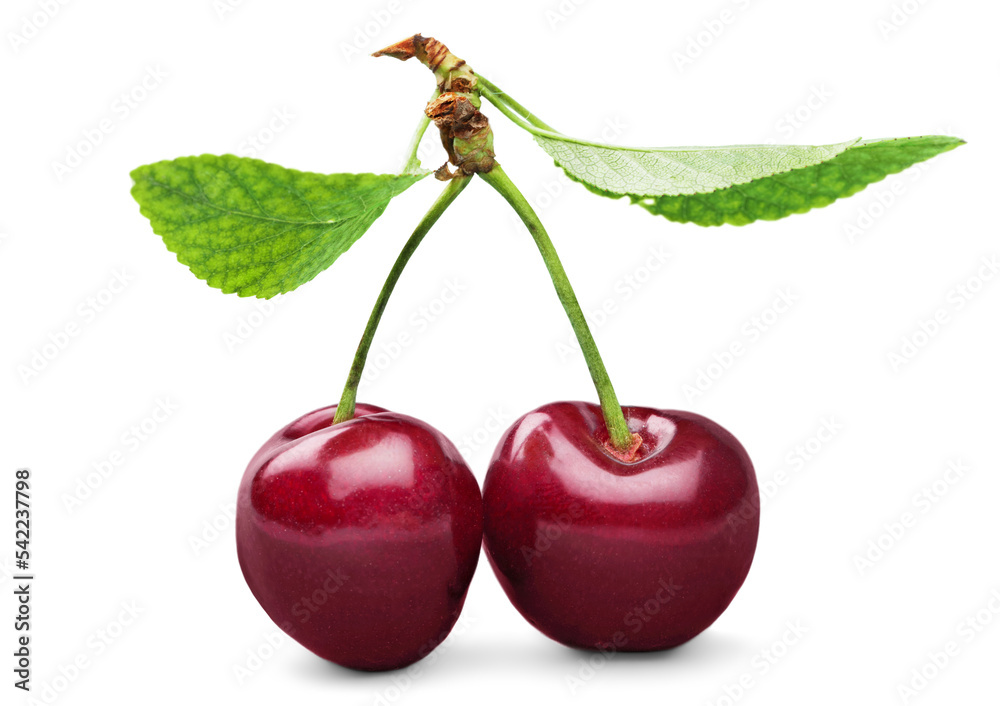 Fresh ripe cherries on white background Fresh ripe cherries on white background