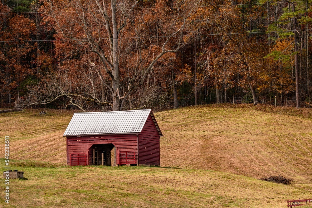 Fototapeta premium fall in the mountains