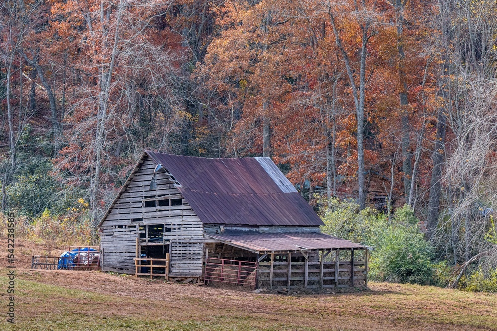 Obraz premium fall in the mountains