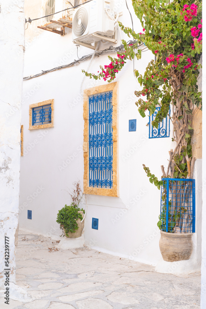 Fototapeta premium Hammamet - City of northwestern Tunisia - important tourist center.