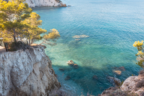 Beautiful view of the clear blue sea with rocks and trees on the island of Elba, Italy