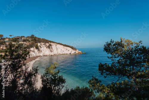 Beautiful exotic view on the island of Elba, Italy with beach, rocks and trees by the blue clear sea