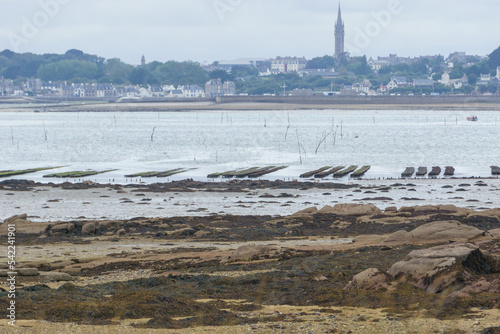 Oyster farm at low tide on the island Callot near Carantec, Brittany, France photo