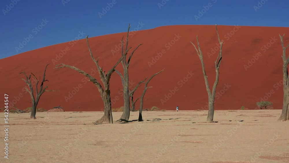 Desert in Africa. Red dunes at dawn in Namibia. Bright sun over the amazing Namib desert, rocks, white sand and dry trees, 4k, Deadvlei, Go Everywhere Desert in Africa. Red dunes at dawn in Namibia. Bright sun over the amazing Namib desert, rocks, white sand and dry trees, 4k, Deadvlei, Go Everywhere