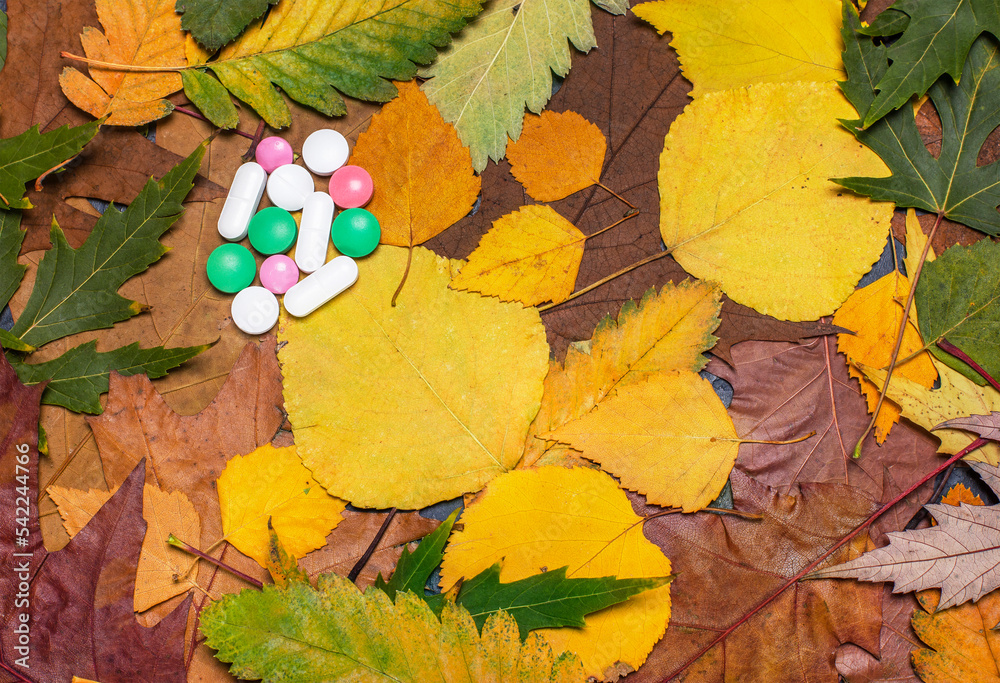 cold pills on the background of autumn leaves