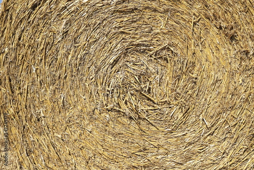 Botte de Paille