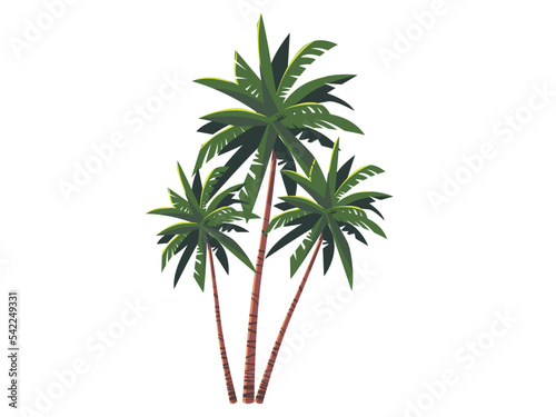 Green tropical palm trees illustration on a white background. Flat design. Three trees coloured in vibrant colours. Vector.