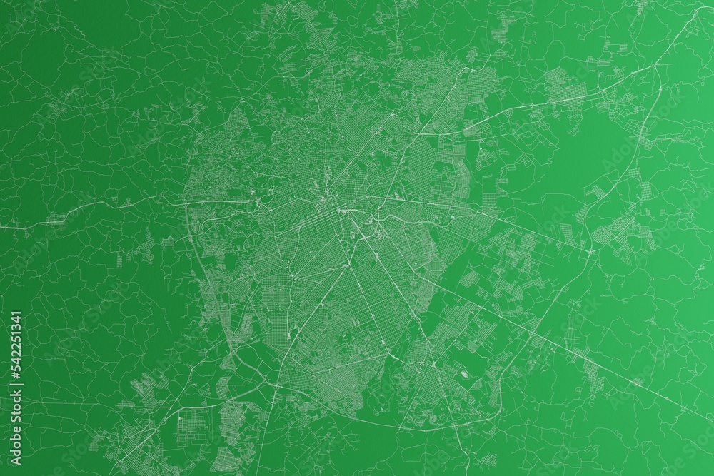 Map of the streets of Curitiba (Brazil) made with white lines on green paper. Rough background. 3d render, illustration