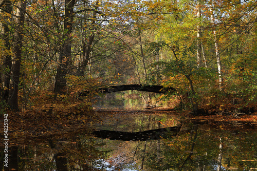 The Mühlenteich (mill pond) at Dammsmühle Castle in autumn, federal state of Brandenburg - Germany